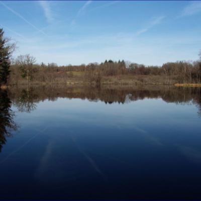 Paysages