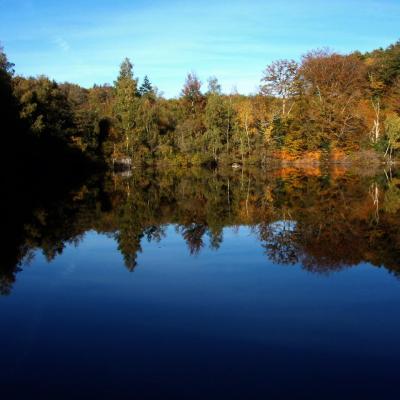 Paysages