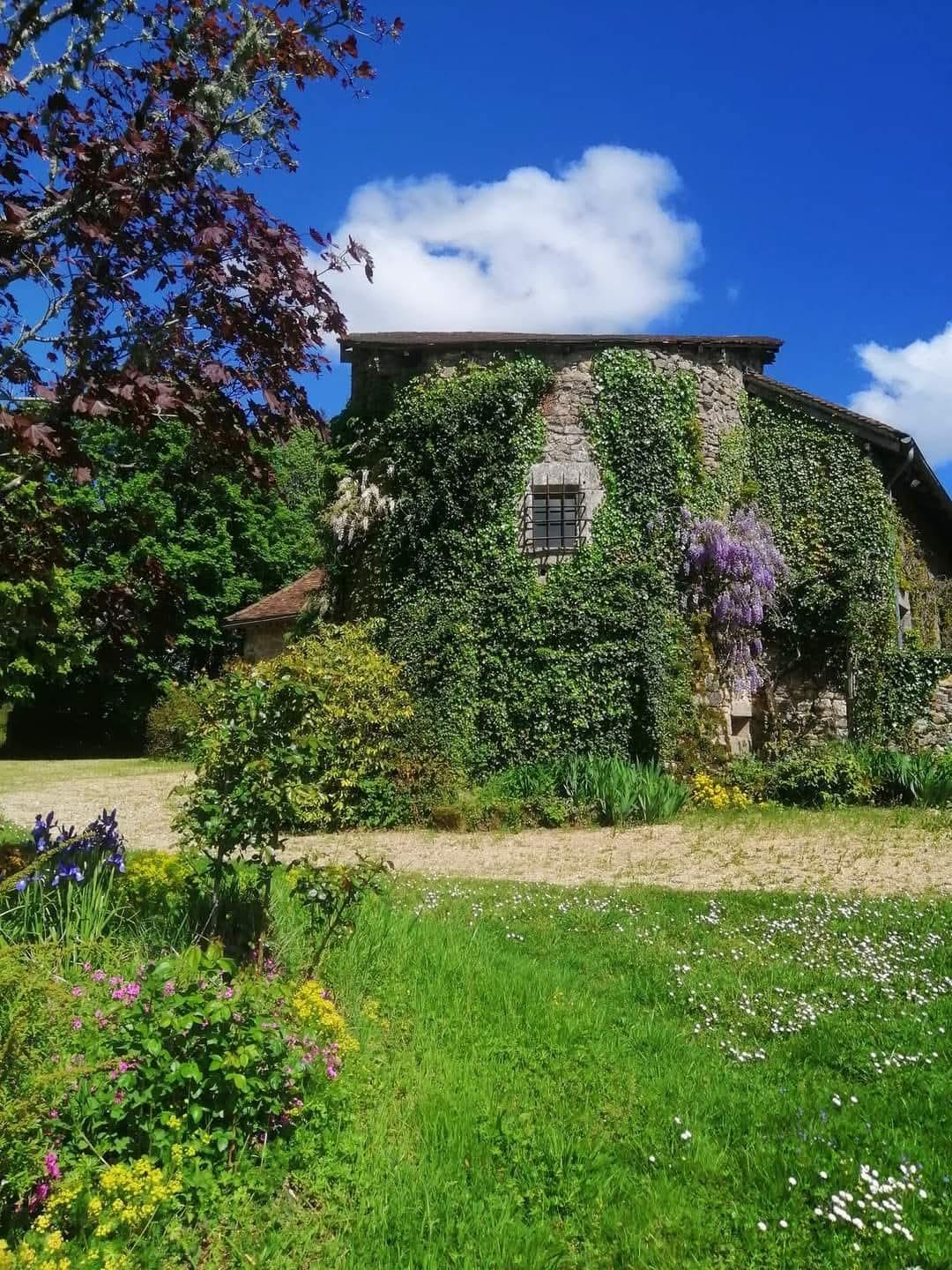 Fb img 1762025877705